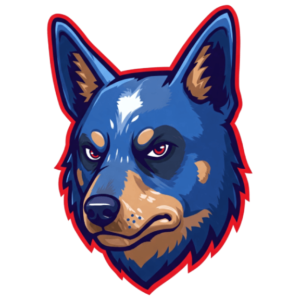 Australia Blue Heelers